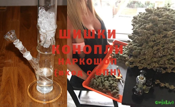 прущие грибы Алексеевка